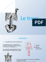 2.Le Tronc - Cours Complet