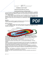 Microorganism in Biotechnology