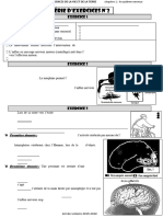 Le-systeme-nerveux-Serie-d-exercices-PDF-11