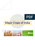 Major Crops of India_6734195_2023_11_28_11_06