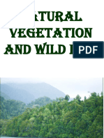 Natural vegetation and wildlife - PPT