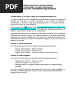 GUÍA ASIGNATURAS ELECTIVAS 8° y 9° SEMESTRE (1)