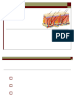 systeme_tegumentaire_peau_et_phaneres