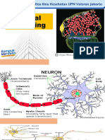 Neural Signaling