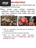 Fungi classification