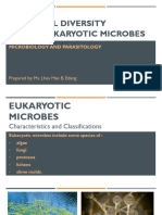 Microbial-Diversity-Eukarya-Microbes