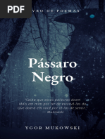 Pássaro Negro