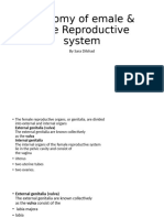 Anatomy of Female and Male Reproductive System