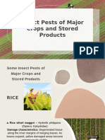 Insect Pests of Major Crops and Stored Products