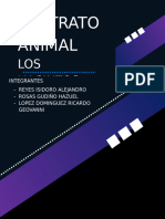 MALTRATO ANIMAL OS HACINTOS