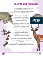 Color Second Grade Poetry Analysis Activity - Armadillos, Ants, and Antelopes