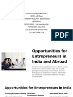 Opportunities for Entrepreneurs in India and Abroad