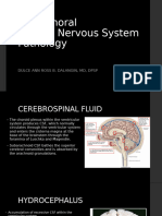 CNS Nontumoral