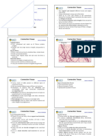 [Merge]HAP-Unit-I Part-III Connective Tissue_20241025_102348-WPS Office - converted