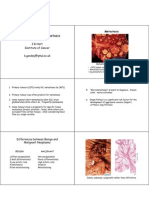 Angiogenesis and Metastasis 10.11 - Colour