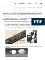 Sistema Cardiovascular o  circulatorio