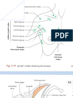 Diagrams of Upper Limb