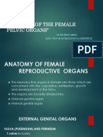 Anatomy of the Female Pelvic Organ.