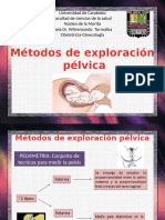 Metodos Para La Exploracion Pelvica