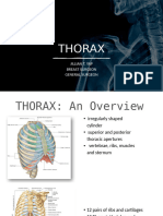 Overview of the Thorax