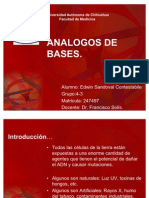 Analogos de Bases