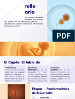 El desarrollo embrionario y sus etapas.pptx