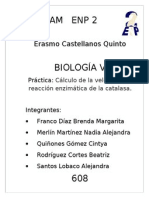 Practica Higado y Agua Oxigenada