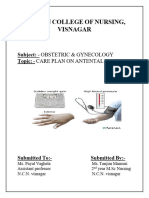 1.1 CARE PLAN ON PIH