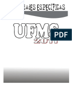 ufms2011v_art