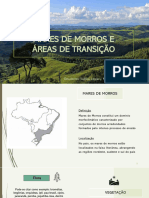 Mares de morros - areas de transiçao