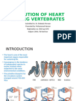 EVOLUTION OF HEART AMONG VERTEBRATES