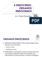 Endocrino