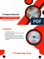 IT325 - Module 2 PD IT Project Lifecycle