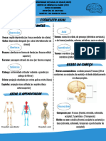 Roteiro de Esqueleto Axial (Yan Gondim)