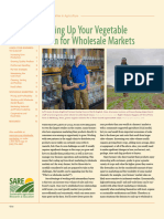 Scaling Up Your Vegetable Farm for Wholesale Markets