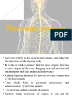 nervous system