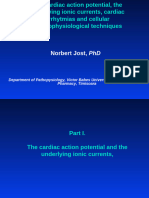 Curs_5_Norbert Jost_The cardiac action potential_Sc doct_2015