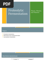 Proteolytic Fermentation