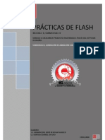 Practicas Flash