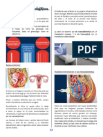 Sonosemiologia Ginecobstetrica