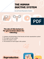 Bsn-1g Reproductive System (Group 5)