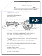 1CIENCIAS 3° II PERIODO