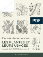 Cahier-de-vacances-MOOC-Botanique-Les-plantes-et-leurs-usages-Tela-Botanica-2024-2_compressed