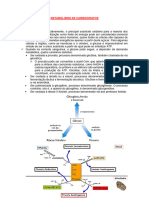 5 - METABOLISMO DE CARBOIDRATOS