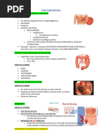 DOR ABDOMINAL - atualizado 0.1