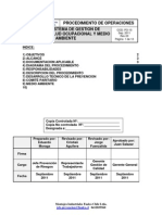 Manual Del Sistema de Gestion de Seguridad y Salud Ocupacional RV 3 Dic