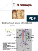 Sistema Renal, Dialise e Hemodialise