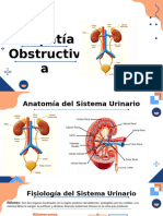 urologia-seminario4