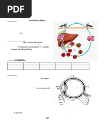 BEPC BLANC-SVT-1T