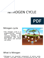 Nitrogen Cycle